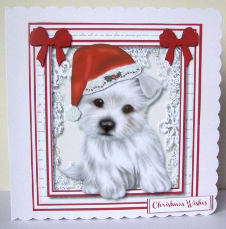 Beautiful Westie with His Christmas Hat  by Margaret McCartney