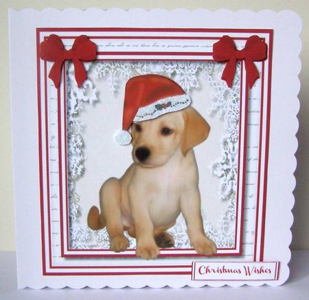 Lovely Lab Pup in His Christmas Hat by Margaret McCartney