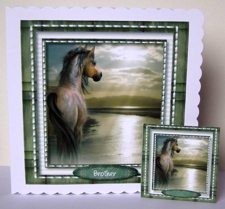 Stallion at the Watres Edge  by Margaret McCartney