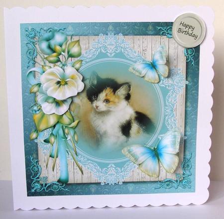 Cat and Butterflies by Margaret McCartney