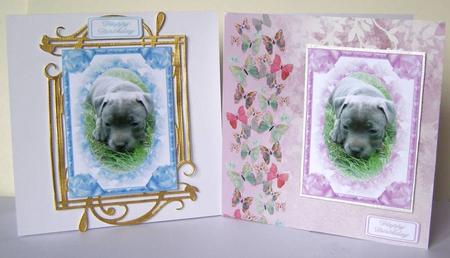 Staffie Puppy Topper by Margaret McCartney