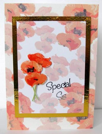 Poppy Art Trio Paper 2 by Margaret McCartney