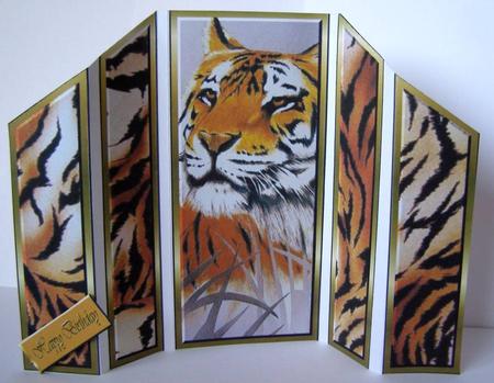 Tiger by Margaret McCartney