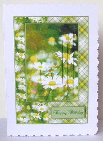 Watercolour Daisies A5 Quick Card by Margaret McCartney