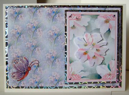 Apple Blossom Background Paper by Margaret McCartney