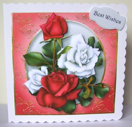 Beautiful Pink & White Roses by Margaret McCartney