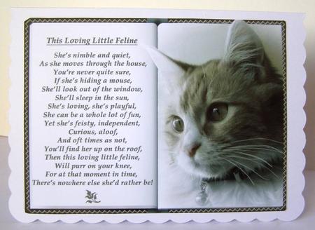 Male Dog and Female Cat Verse Open Book Topper by Margaret McCartney