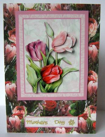 Rose & Protea Bouquet Background Paper by Margaret McCartney