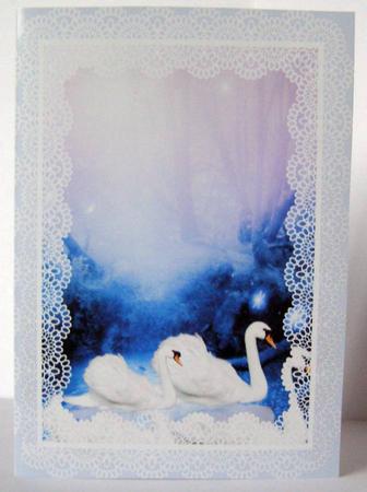 Swans Quick Card by Margaret McCartney