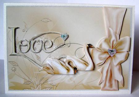 Swans with Love by Margaret McCartney