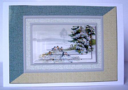 Robins in the Snow by Margaret McCartney