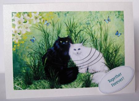 Black & White Long Haired Cats Together Forever A5 Card by Margaret McCartney