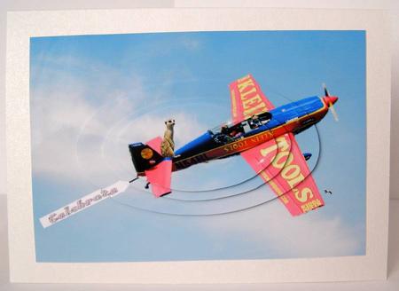 Meerkat Steals Show on Airplane at Air Display -oval Pyramid by Margaret McCartney