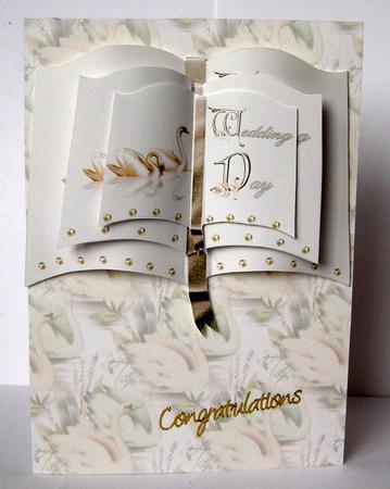 2 Swans Wedding Day Book by Margaret McCartney