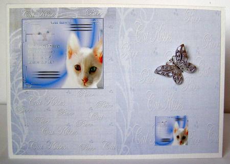 Cat Kisses by Margaret McCartney