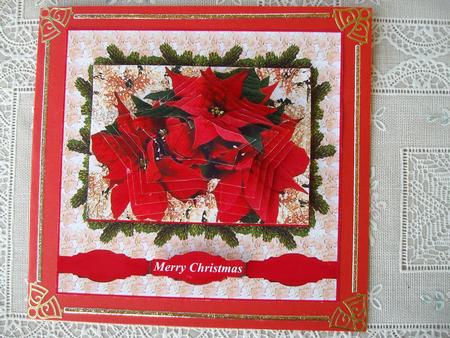 Poinsettia, Pyramid Star by Margaret Mullan