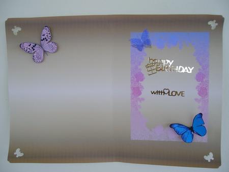 Butterfly Insert by Margaret Mullan