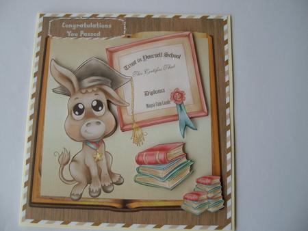 Congratulationd You Passed  by Margaret Mullan