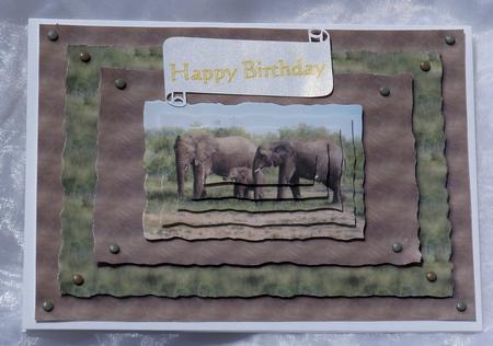 Elephants Card Kit by Margaret O'Connor