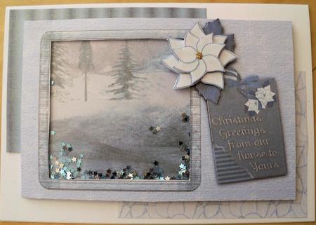 Snowy Christmas Shaker Card Kit by Margaret O'Connor