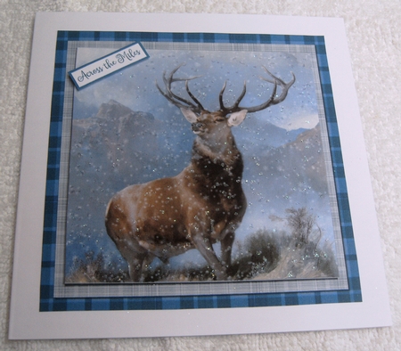 CHRISTMAS MONARCH 6X6 by Margaret Scott