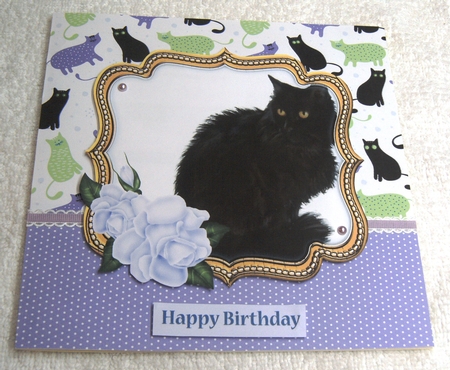 Cat In Floral Rose Frame 7 x 7 Inches No.3 by Margaret Scott