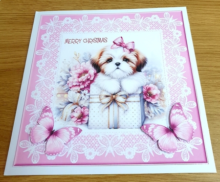 Lace Butterfly Frames-Dreamy by Margaret Scott