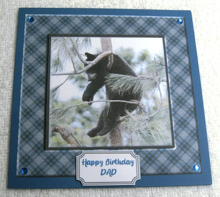 TARTAN FRAME ANIMAL TOPPERS by Margaret Scott