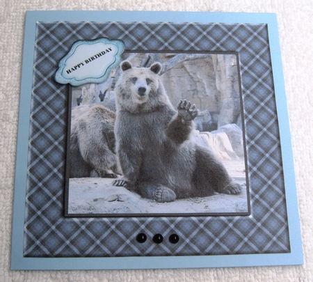 TARTAN FRAME ANIMAL TOPPERS by Margaret Scott