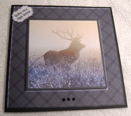 TARTAN FRAME ANIMAL TOPPERS by Margaret Scott