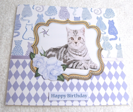 CATTITUDE BACKGROUND KIT by Margaret Scott