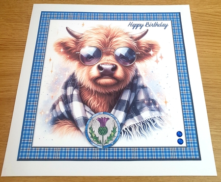 TARTAN FRAMES by Margaret Scott