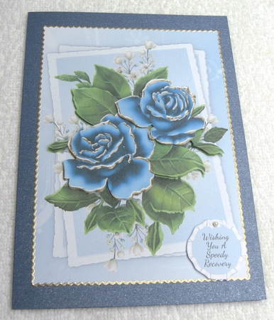 Wishing You A Speedy Recovery - Rose Topper by Margaret Scott