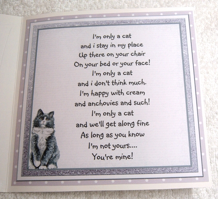7 CATS  6x6 by Margaret Scott