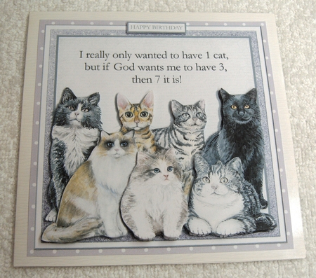 6x6 insert to match by Margaret Scott