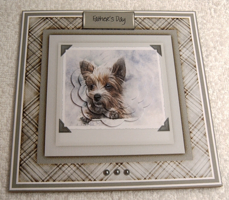 Terrier dog 7x7 card  by Margaret Scott