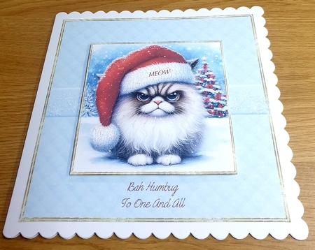 Padded Frames with Snowflakes-Candy Floss by Margaret Scott