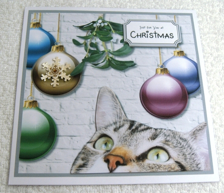 Christmas Cat 2 by Margaret Scott