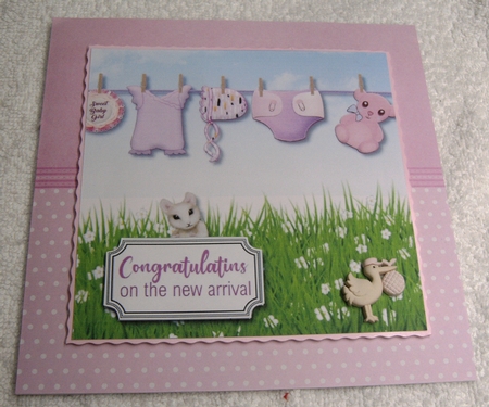 New Baby Girl by Margaret Scott