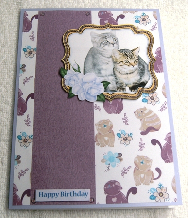 CHUBBY MINKIES A4 BACKGROUND KIT by Margaret Scott