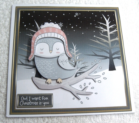 Owl I want for Christmas 6x6 by Margaret Scott