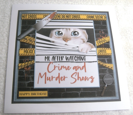 SCAREDY CAT quick card by Margaret Scott