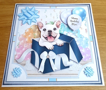 GIFT BOX FRENCHIE by Margaret Scott