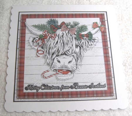 CHRISTMAS HIGHLAND COO quick card by Margaret Scott