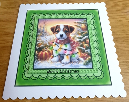 Weaved Shell Edged Frames-Colorful by Margaret Scott