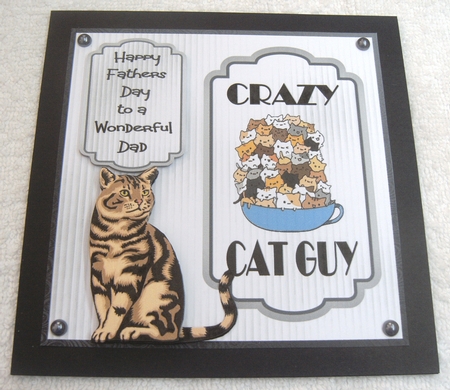 Crazy Cat Guy 4 - 6x6 inch card front with decoupage by Margaret Scott