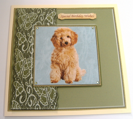 Dog Portraits 1 by Margaret Scott