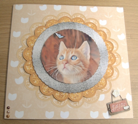 Cat Portrait Plates by Margaret Scott