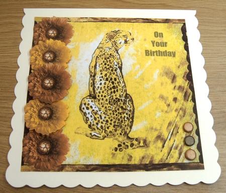 Designer Resource Spring Flowers by Margaret Scott