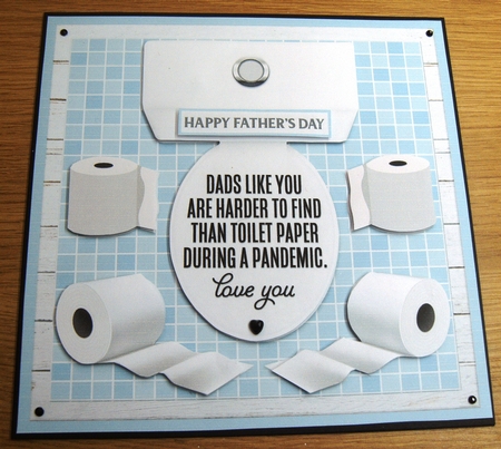 DADS LIKE YOU by Margaret Scott